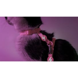 Dashi Arnés + Correa Neón Rosa para Gato Patitas&co Patitas&co