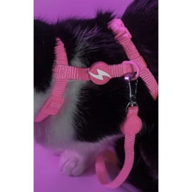 Dashi Arnés + Correa Neón Rosa para Gato Patitas&co Patitas&co