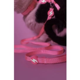 Dashi Arnés + Correa Neón Rosa para Gato Patitas&co Patitas&co