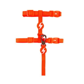 Dashi Arnés + Correa Neón Naranja para Gato Accesorios de Paseo para Gatos Patitas&co