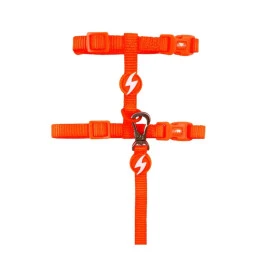 Dashi Arnés + Correa Neón Naranja para Gato Accesorios de Paseo para Gatos Patitas&co