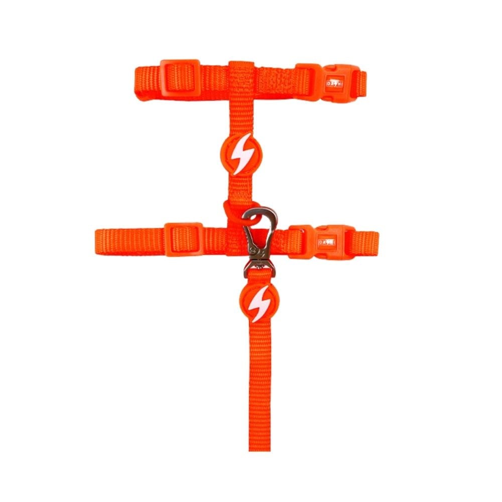 Dashi Arnés + Correa Neón Naranja para Gato Accesorios de Paseo para Gatos Patitas&co