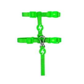 Dashi Arnés + Correa Neón Verde para Gato Accesorios de Paseo para Gatos Patitas&co