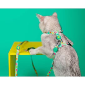 Dashi Arnés + Correa Gummy para Gato Accesorios de Paseo para Gatos Patitas&co