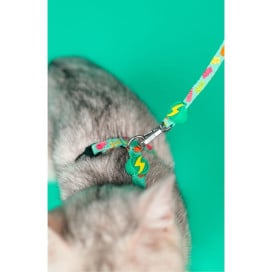 Dashi Arnés + Correa Gummy para Gato Accesorios de Paseo para Gatos Patitas&co