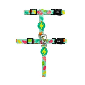 Dashi Arnés + Correa Gummy para Gato Accesorios de Paseo para Gatos Patitas&co