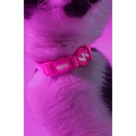 Dashi Collar Neón Rosa para Gato Patitas&co Patitas&co