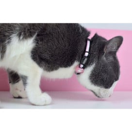 Dashi Collar Stripes³ Rosa y Negro para Gato Accesorios de Paseo para Gatos Patitas&co