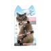 M-Pets Set de Correa y Arnés Rosa Rubor para Gato
