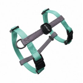 M-Pets Set de Correa y Arnés Verde Jade para Gato Accesorios de Paseo para Gatos Patitas&co