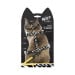 M-Pets Set de Correa y Arnés Salvaje para Gato