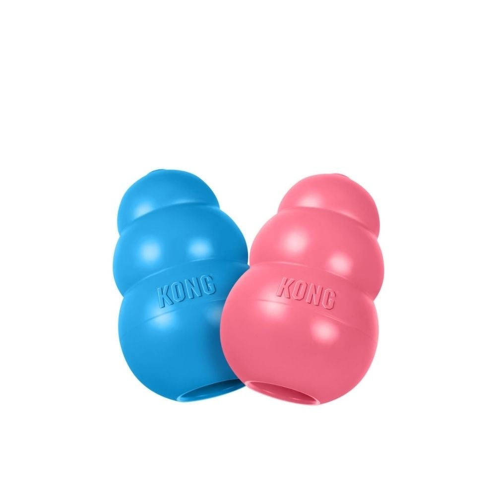 Kong Puppy Juguete Divertido Rellenable Azul/Rosa para Perro Juguetes para perros Patitas&co