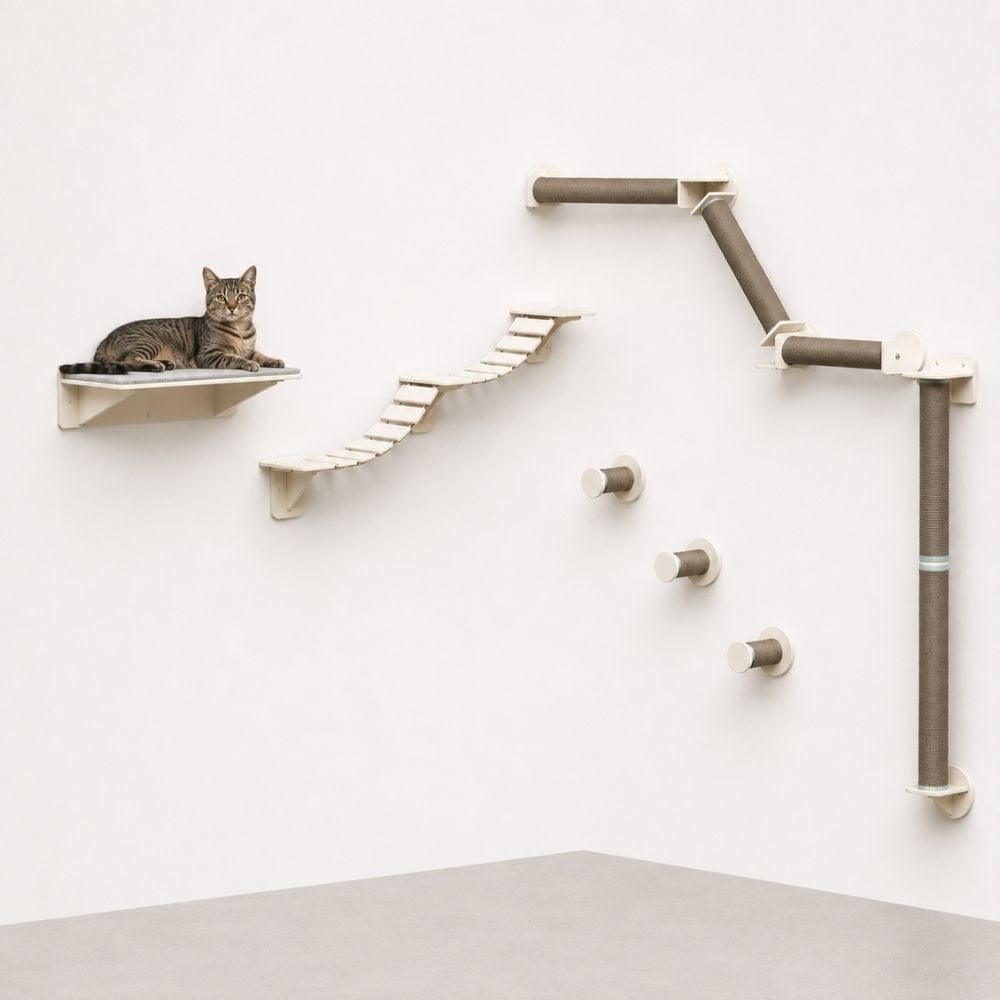 Trixie Pack Gatificación de Pared Packs para gatos Patitas&co