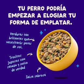 Edgard and Cooper Guiso de Salmón y Pollo para Perro Comida húmeda para Perros Patitas&co