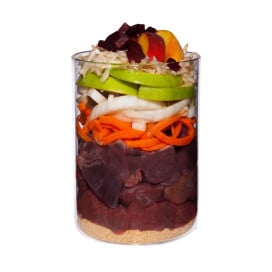 Terra Canis Classic Lata de Caballo con Amaranto para Perro Comida húmeda para Perros Patitas&co