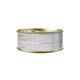 Dibaq Natural Moments Salmón con Calabaza para Gato Patitas&co Patitas&co