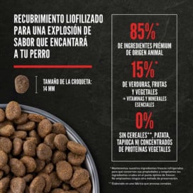 Orijen Tundra Pienso para Perros Pienso para Perros Patitas&co