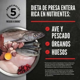 Orijen Small Breed Pienso para Perros de Raza Pequeña Pienso para Perros Patitas&co