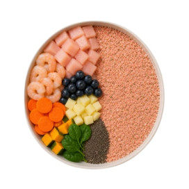 NaturalWil Comida Deshidratada de Pollo y Gambas para Perro Comida Deshidratada para Perro Patitas&co