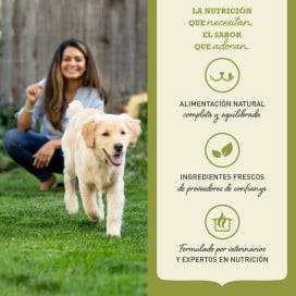 Acana Pienso de Carne Roja para Perro Pienso para Perros Patitas&co