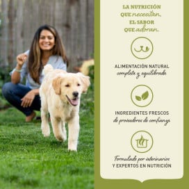 Acana Singles Pienso de Cerdo Yorkshire para Perro Pienso para Perros Patitas&co