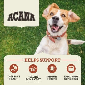 Acana Singles Pienso de Ternera con Calabaza para Perro Pienso para Perros Patitas&co