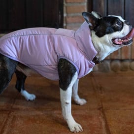 Abrigo Impermeable WinterHug Morado Perro Mediano Abrigos para perro Patitas&co