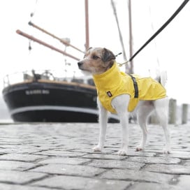 Trixie impermeable Vimy Amarillo Impermeables y chubasqueros para perro Patitas&co