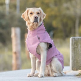 Trixie impermeable Vimy Rosa Perro Pequeño Impermeables y chubasqueros para perro Patitas&co