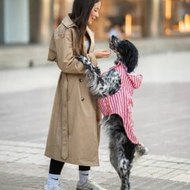 Dukier Chubasquero Terracota Perro Mediano Ropa para perros Patitas&co
