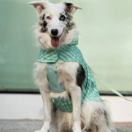 Dukier Chubasquero Soft Green Perro Pequeño Ropa para perros Patitas&co