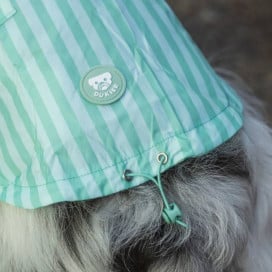 Dukier Chubasquero Soft Green Perro Pequeño Ropa para perros Patitas&co