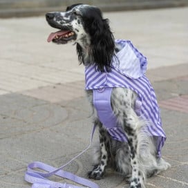 Dukier Chubasquero Violet Perro Pequeño Ropa para perros Patitas&co