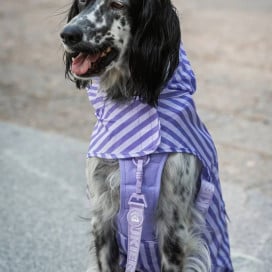 Dukier Chubasquero Violet Perro Pequeño Ropa para perros Patitas&co