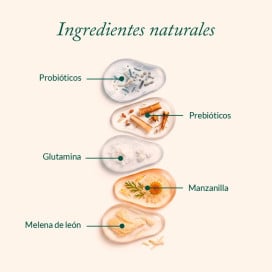 The Doog Life Suplemento Digestivo Microbiome Balance para Perro Probióticos y Prebióticos para Perros Patitas&co