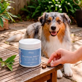 The Doog Life Suplemento Digestivo Microbiome Balance para Perro Probióticos y Prebióticos para Perros Patitas&co