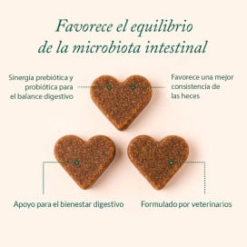 The Doog Life Suplemento Digestivo Microbiome Balance para Perro Probióticos y Prebióticos para Perros Patitas&co
