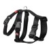 Arnes Nylon Triple Negro Especial Galgos y Podencos