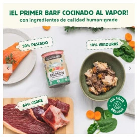 Wild Balance Salmon Comida Humeda Perro Comida húmeda Perros Patitas&co