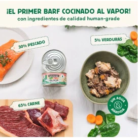 Wild Balance Comida Humeda Salmon y Ternera con Verduras Gato Comida húmeda para gatos Patitas&co