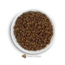 Amanova Pienso Adult Mini Sensitive Salmon para Perro Patitas&co Patitas&co