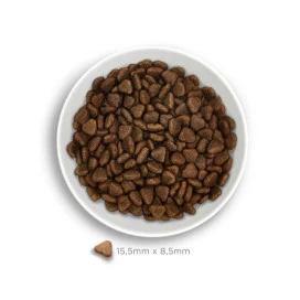 Amanova Pienso Adult Sensitive Cordero para Perros Pienso Natural para Perros Patitas&co