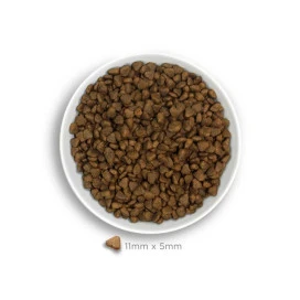 Amanova Pienso Adult Mini Sensitive Cordero para Perros Pequeños Pienso Natural para Perros Patitas&co