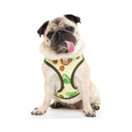Dukier Arnes Reversible Avocado Para Perro Collar, Correa y Arnes Perro Patitas&co