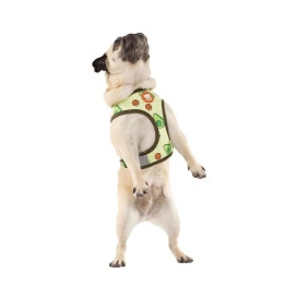 Dukier Arnes Reversible Avocado Para Perro Collar, Correa y Arnes Perro Patitas&co