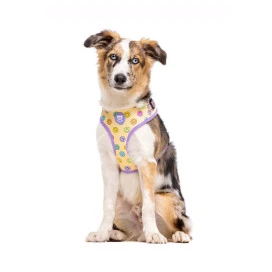 Dukier Arnes Ajustable Smiley Para Perros Collar, Correa y Arnes Perro Patitas&co