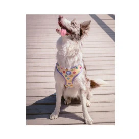 Dukier Arnes Ajustable Smiley Para Perros Collar, Correa y Arnes Perro Patitas&co