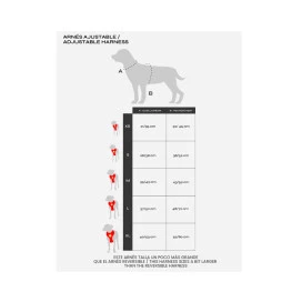 Dukier Arnes Ajustable Smiley Para Perros Collar, Correa y Arnes Perro Patitas&co