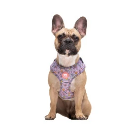 Dukier Arnes Ajustable Flower Power Para Perros Collar, Correa y Arnes Perro Patitas&co