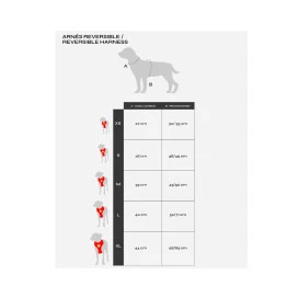 Dukier Arnes Reversible Avocado Para Perro Collar, Correa y Arnes Perro Patitas&co